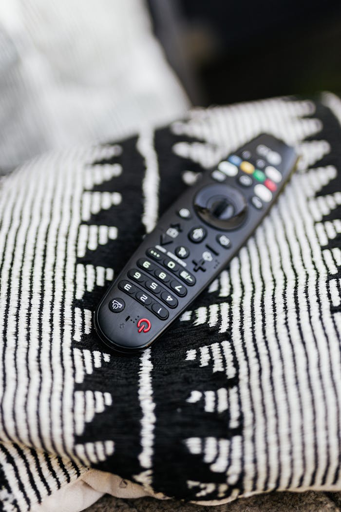 A close-up of a black remote control on a black and white patterned throw pillow.